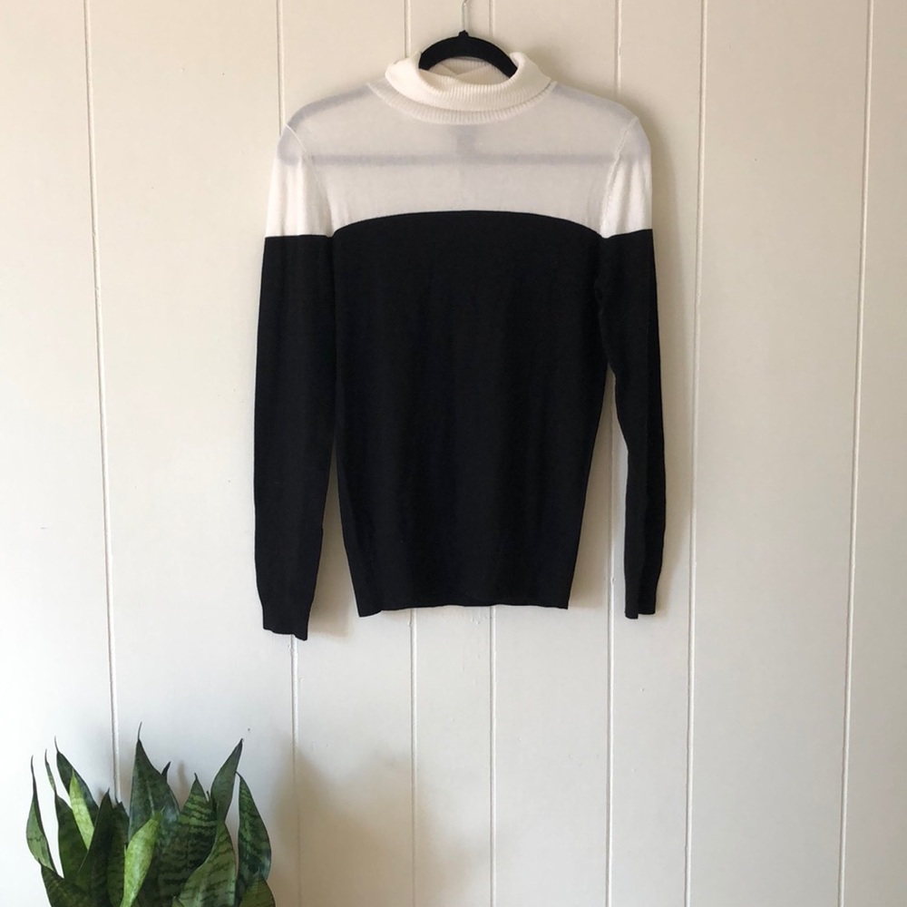 Ann Taylor Turtle Neck